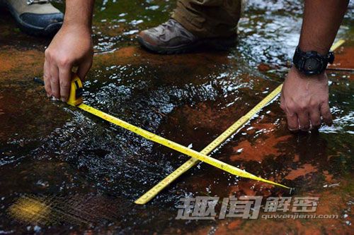 四川某市发现白垩纪时期恐龙足迹