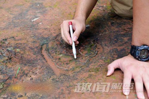 四川某市发现白垩纪时期恐龙足迹