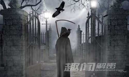 新疆哈巴河惊现 千年前佩饰品的殉马