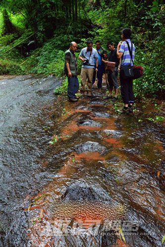 四川某市发现白垩纪时期恐龙足迹