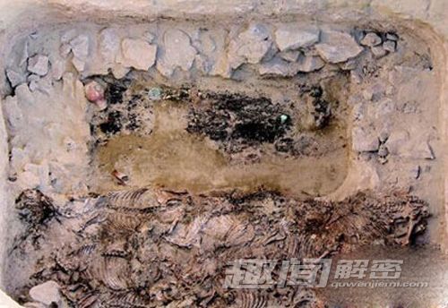 新疆哈巴河惊现 千年前佩饰品的殉马
