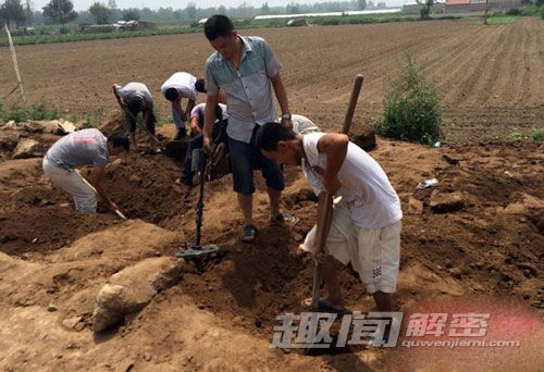 四川某市发现白垩纪时期恐龙足迹