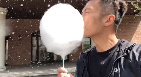 谢霆锋吐槽北京柳絮漫天飞 出门五分钟形成“棉花糖”