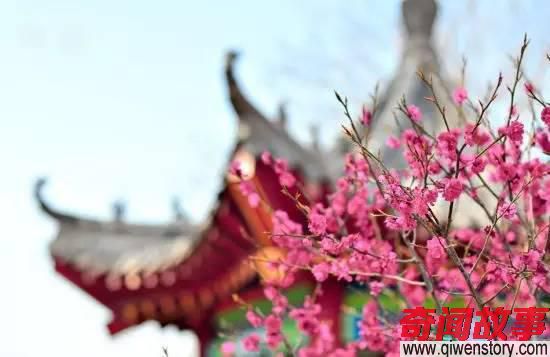 我是山东济南各所大学的校花，哼