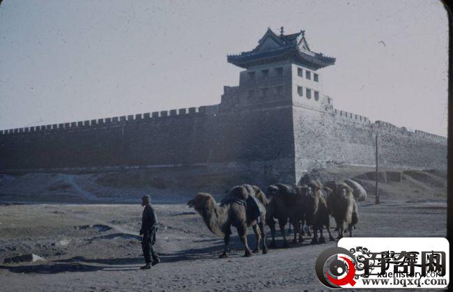1948年，北京街景，崇祯皇帝上吊的歪脖树原来如此萧瑟