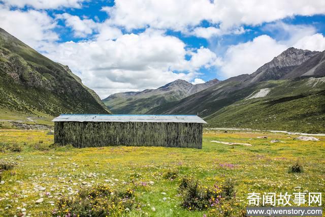 遥远的西藏,还真有一个这样世外桃源般的地方