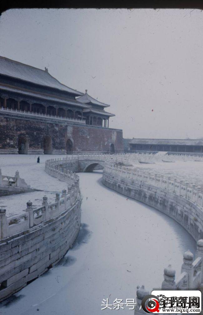 1948年，北京街景，崇祯皇帝上吊的歪脖树原来如此萧瑟