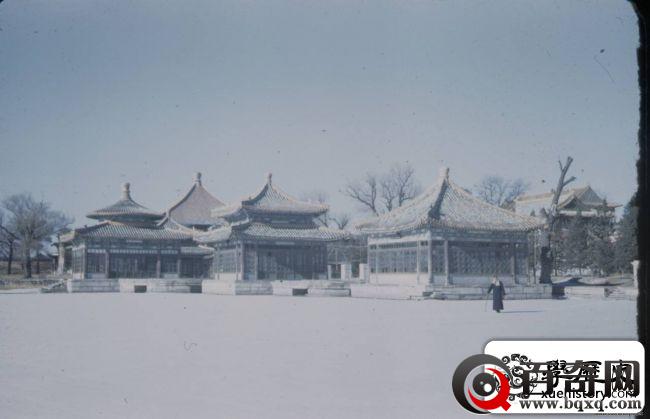 1948年，北京街景，崇祯皇帝上吊的歪脖树原来如此萧瑟