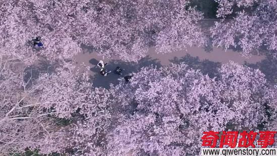 我是山东济南各所大学的校花，哼