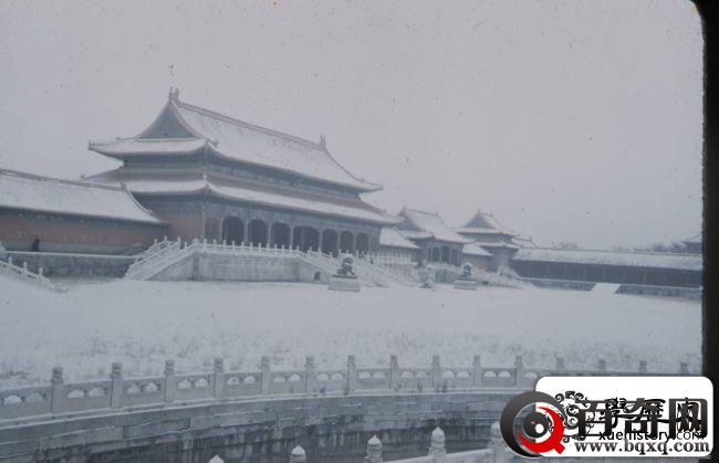 1948年，北京街景，崇祯皇帝上吊的歪脖树原来如此萧瑟