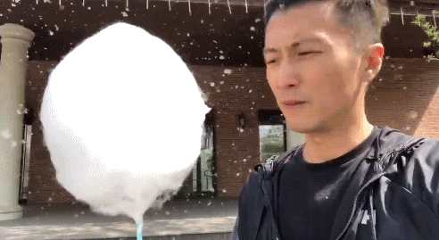 谢霆锋吐槽北京柳絮漫天飞 出门五分钟形成“棉花糖”