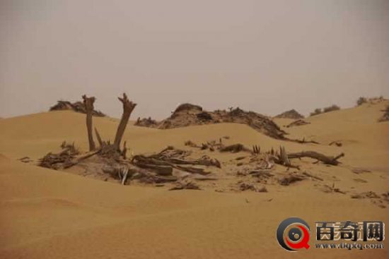 新疆沙漠现千年古城 尸骨满城珍宝无数