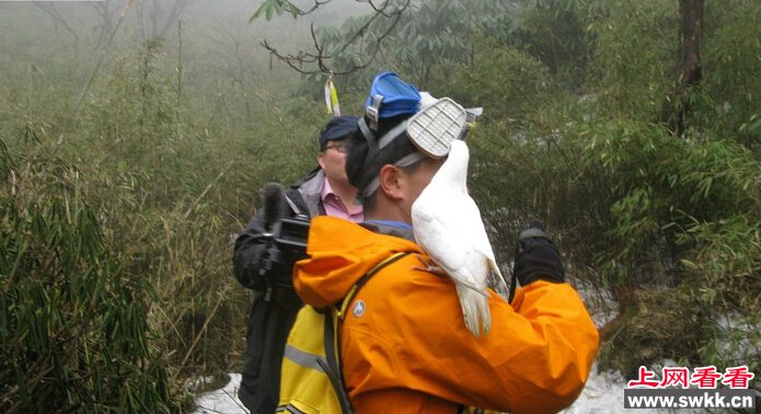 只进不出的四川瓦屋山迷魂凼已经消失