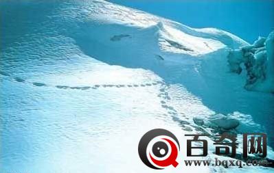 世界屋脊:揭秘“神秘西藏”十大天谜