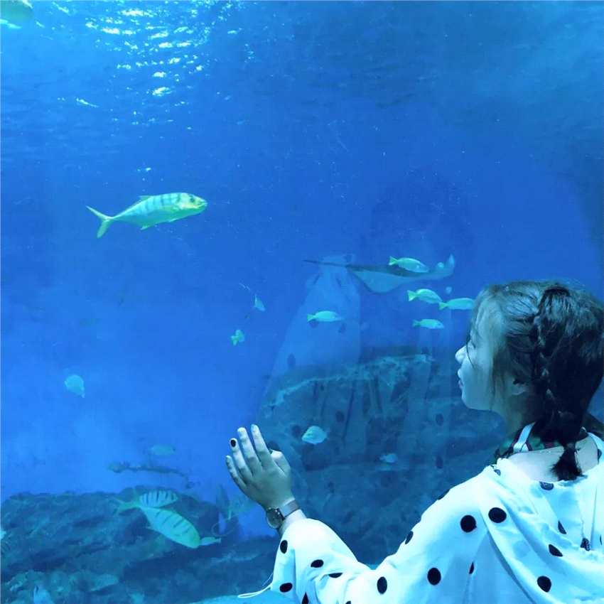 火爆试运营之后，上海海昌海洋公园能否成为海上“迪士尼”？