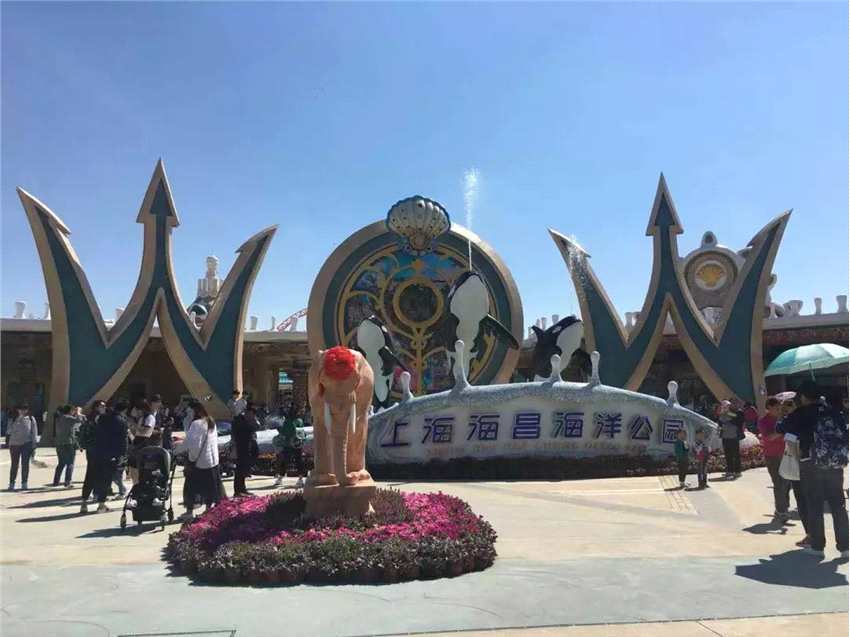 火爆试运营之后，上海海昌海洋公园能否成为海上“迪士尼”？