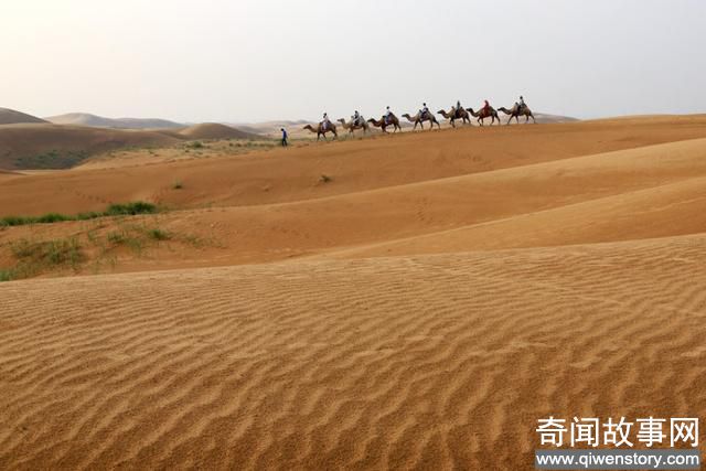 中国有两座世界最高峰,一座在西藏,另一座就在哪里-