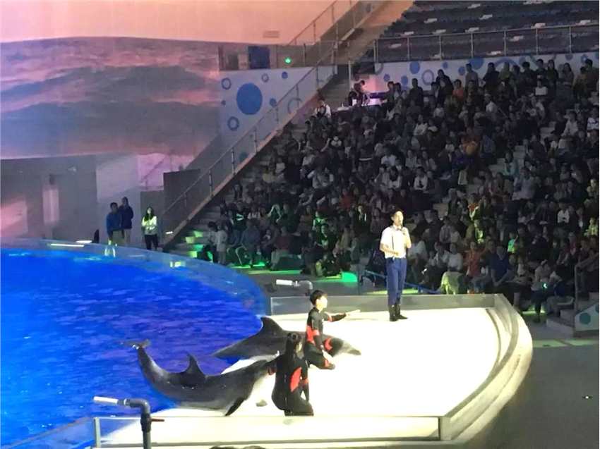 火爆试运营之后，上海海昌海洋公园能否成为海上“迪士尼”？