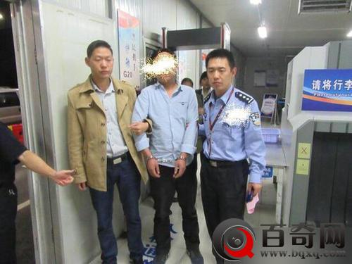 迪士尼现采花贼 上海迪士尼现采花贼 盗走300斤黄金菊 网友-想钱想疯了吧