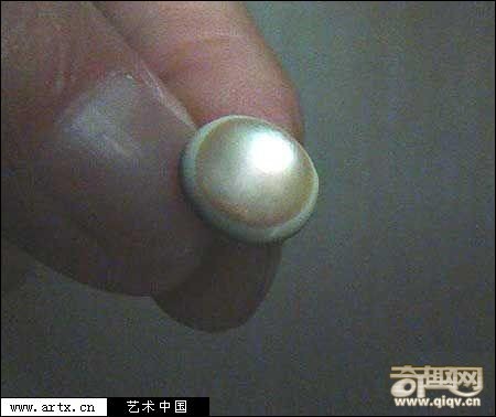 北京发现千年老龟所产夜明珠