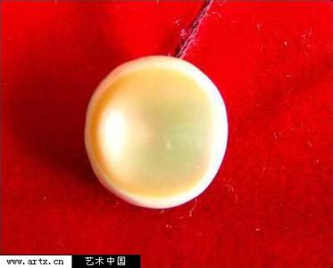 北京发现千年老龟所产夜明珠