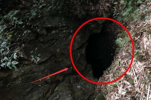揭秘重庆鬼洞尸骨之谜,真的是曾经白莲教的藏身之处吗-