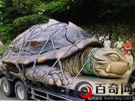 北京两千年的西汉古墓 竟挖出了惊人神龟