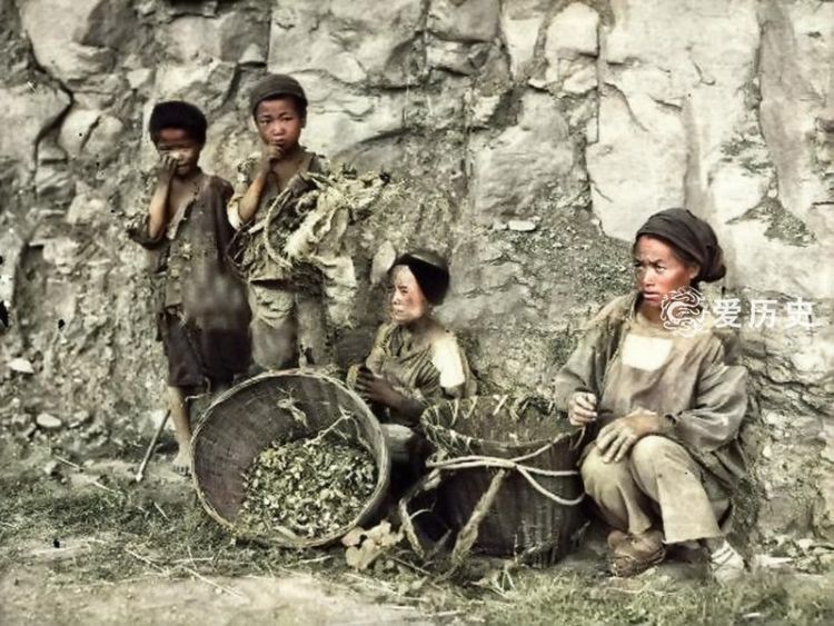 1937年四川大饥荒饿殍载道的上色彩照倒毙的孩子爬满苍蝇