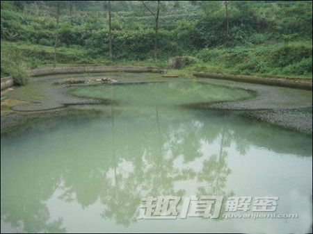 恐怖！重庆怪湖惊现上万条蛇