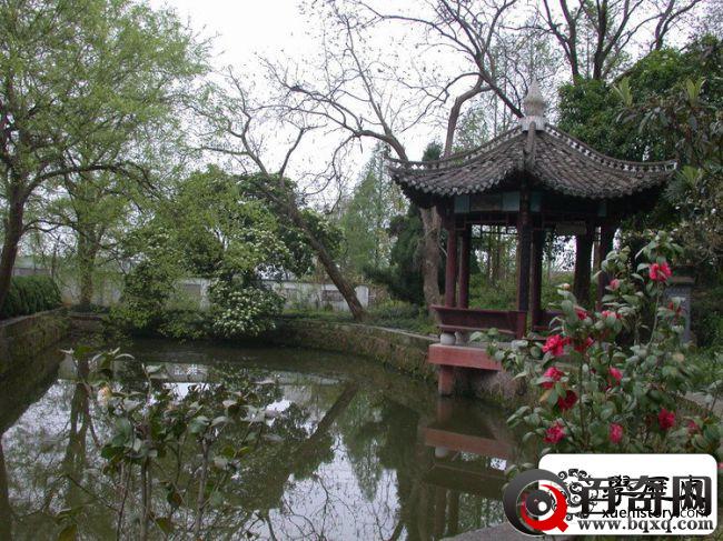 老照片：安徽百年名校休宁中学校园美景