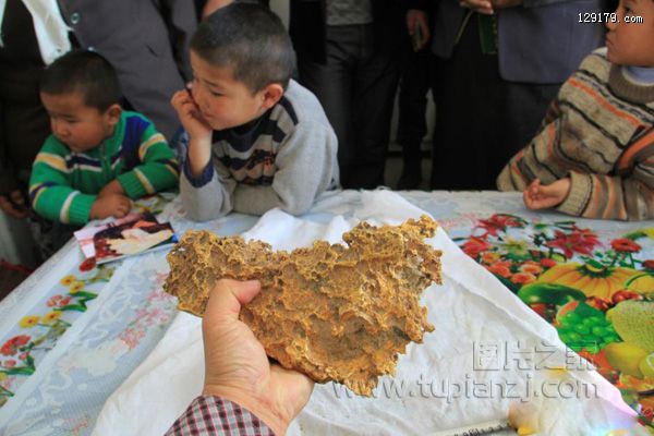 新疆一牧民捡到15重狗头金 形似中国地图