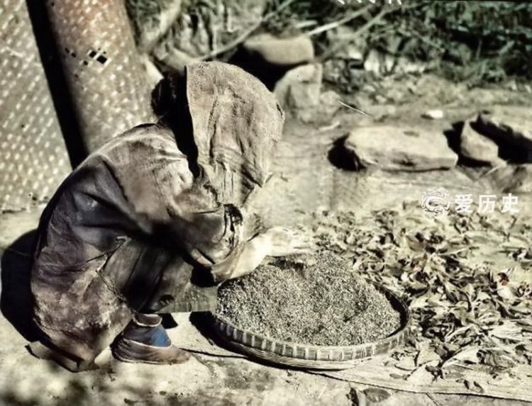 1937年四川大饥荒饿殍载道的上色彩照倒毙的孩子爬满苍蝇