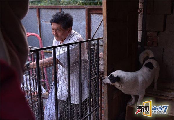 山东七旬老人坚持28年收养流浪动物