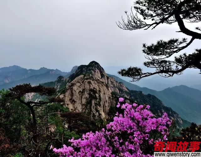 好消息！安徽人游牯牛降、八公山景区免票啦！