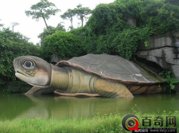 北京两千年的西汉古墓 竟挖出了惊人神龟