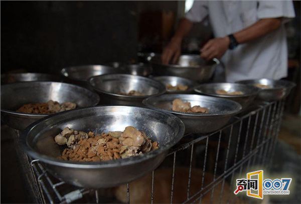 山东七旬老人坚持28年收养流浪动物