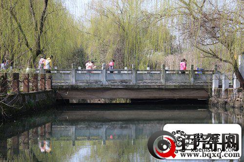 老照片：安徽百年名校休宁中学校园美景