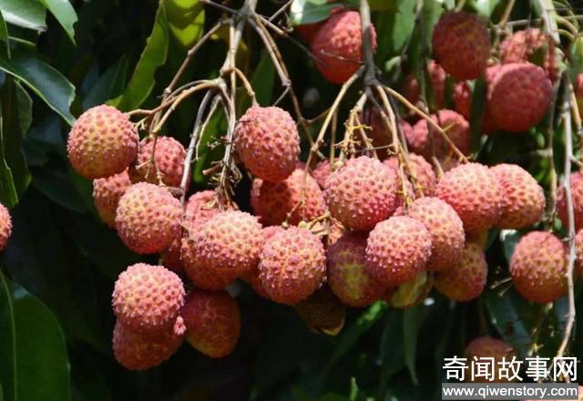 广西最寒酸的县城，人口总数在省内排名第二