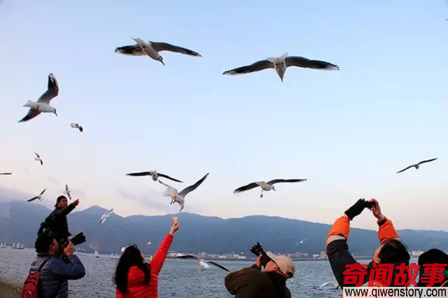 如果没有云南 中国就没有真正意义上的春天