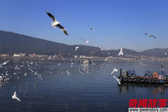 如果没有云南 中国就没有真正意义上的春天