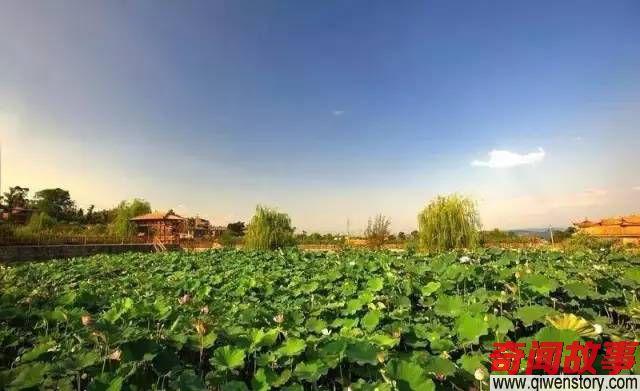 巴南 重庆的夏天也可以很宜人