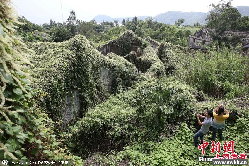 浙江一荒废几十年古村变身童话世界 图