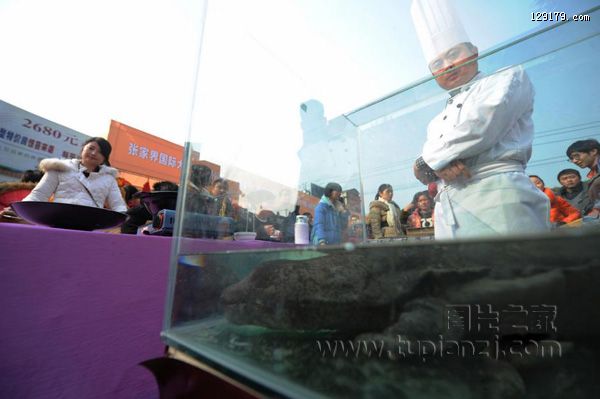 湖南一老板摆流水宴免费请市民吃“娃娃鱼” 吸引众多网友关注