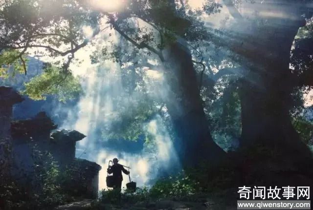 浙江8个隐秘的古村落，个个人少景美，大部分都免费！