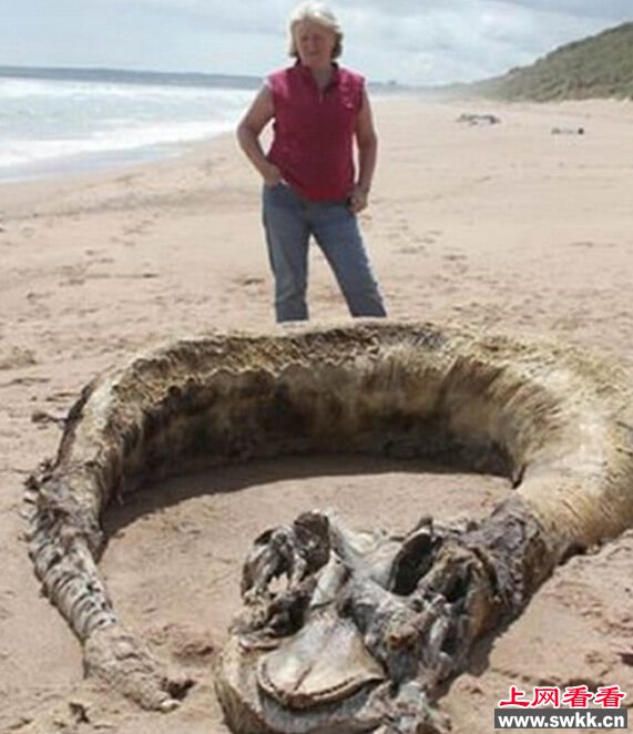 证实！贵州六盘水水怪的存在