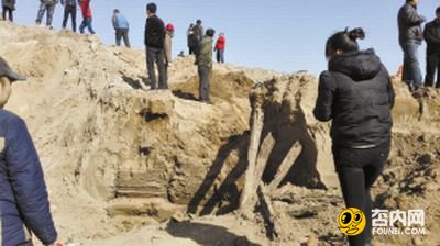 河北疑挖出明朝五代将军墓 史料匮乏几近传说