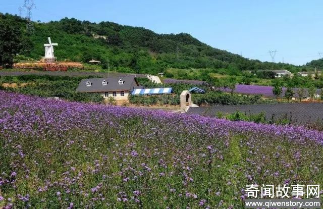 北京的9月花海美到窒息！让你秒穿到春天,赏花的好时节