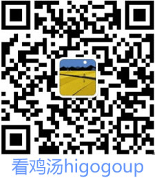 河北疑挖出明朝五代将军墓 史料匮乏几近传说
