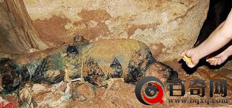 四川南充僵尸是真的吗 四川南充僵尸事件真相