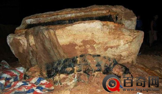 四川南充僵尸是真的吗 四川南充僵尸事件真相